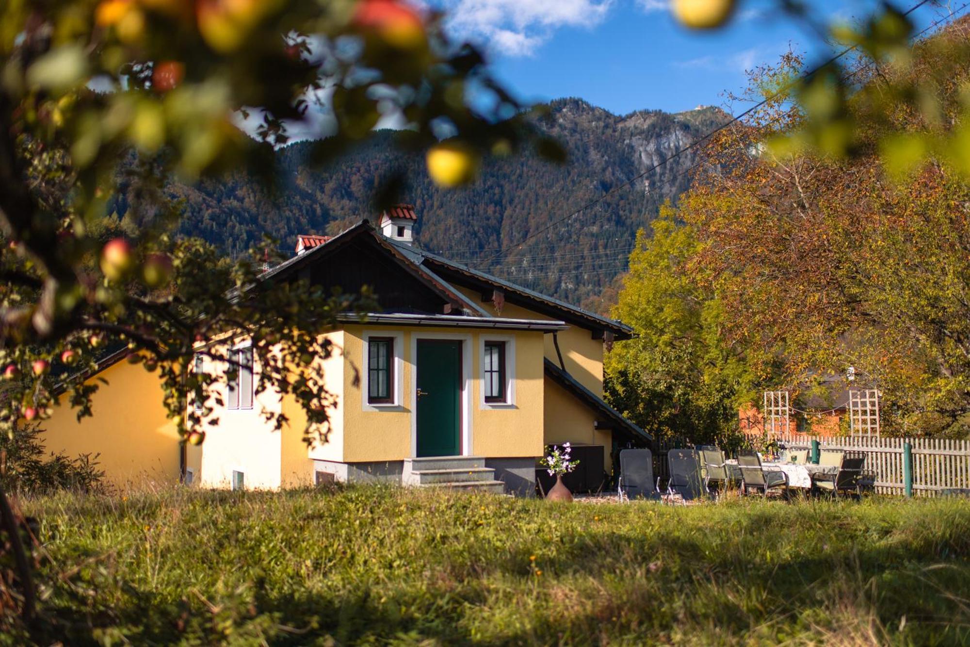 Ferienhaus Alexandra In Ebensee Extérieur photo